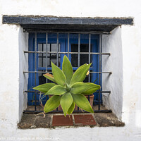 Buy canvas prints of Castella Del Frontera window. by Chris North