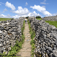 Buy canvas prints of Dry stone walls of Grassington in the Yorkshire Dales. by Chris North