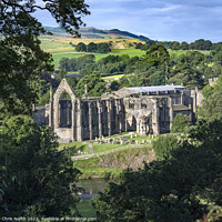 Buy canvas prints of Bolton Abbey in the Yorkshire Dales by Chris North