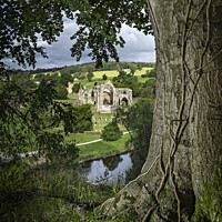 Buy canvas prints of Bolton Abbey, in the heart of the Yorkshire, Dales. by Chris North
