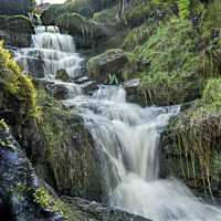 Buy canvas prints of Bronte waterfall by Chris North