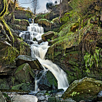 Buy canvas prints of The Brontë waterfall on Harwoth moor. by Chris North
