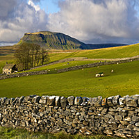 Buy canvas prints of Pen-y-ghent in the Yorkshire Dales. by Chris North
