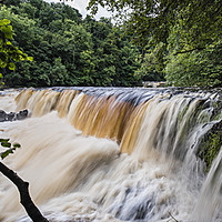 Buy canvas prints of Aysgarth Falls by Chris North