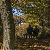 Buy canvas prints of Autumn woods,  Bolton Abbey Estate. by Chris North