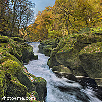 Buy canvas prints of The Strid on the  River Wharfe by Chris North