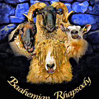 Buy canvas prints of Baahemian Rhapsody by Chris North