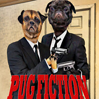 Buy canvas prints of Pug Fiction. by Chris North