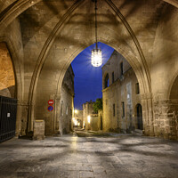 Buy canvas prints of Avenue of the Knights  by Chris North