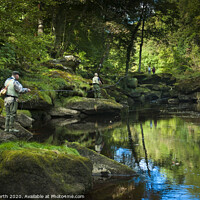 Buy canvas prints of Fly fishing, Bolton Abbey woods, Yorkshire. by Chris North