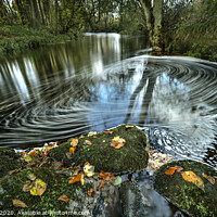 Buy canvas prints of Autumn whirlpool on the River Washburn, Yorkshire Dales. by Chris North