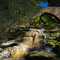 Buy canvas prints of The ancient bridge below West Burton Falls. by Chris North