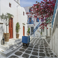 Buy canvas prints of Mykonos courtyard. by Chris North