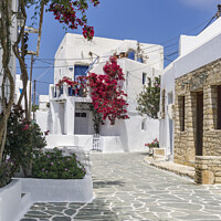 Buy canvas prints of Cottage in the old town at Folegandros.. by Chris North