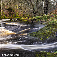 Buy canvas prints of Autumn river on the River Washburn, Yorkshire Dales. by Chris North