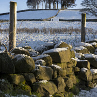 Buy canvas prints of Winter on the Chevin, Otley West Yorkshire. by Chris North