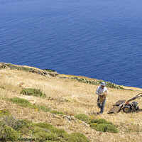 Buy canvas prints of Hillside farmers, Folegandros. by Chris North