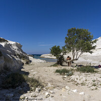 Buy canvas prints of Sarakiniko is a beach on Milos Island by Chris North