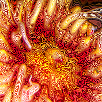 Buy canvas prints of Sea Anemone Abstract by Robert M. Vera