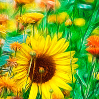 Buy canvas prints of Spring Wildflowers by Robert M. Vera