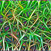 Buy canvas prints of Abstract Image of Grass by Robert M. Vera