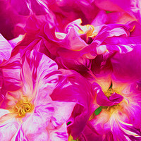 Buy canvas prints of Roses Flowers by Robert M. Vera