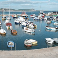 Buy canvas prints of Boats in Lyme Regis harbour by Mike Rogers