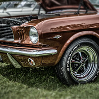 Buy canvas prints of Classic Ford Mustang by Kevin Ford