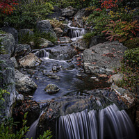 Buy canvas prints of Woodland Stream in Autumn by Kevin Ford