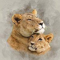 Buy canvas prints of Lioness and Her Cub by Keith Furness