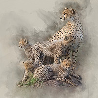 Buy canvas prints of Cheetah Family by Keith Furness