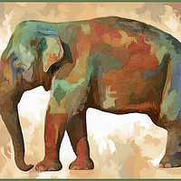 Buy canvas prints of Elephant in Colour by Keith Furness