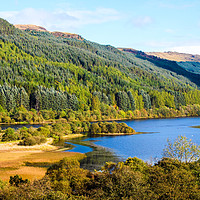 Buy canvas prints of Banks of Loch Lubnaig in Scotland by  