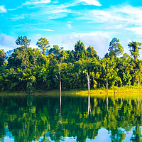 Buy canvas prints of Beautiful lake landscape with jungle covered mount by  