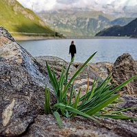 Buy canvas prints of Life at the rim of the lake by Luca Bosotti