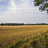 Buy canvas prints of Harvested field by Graeme Hutson