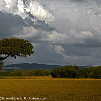 Buy canvas prints of Windswept tree by Graeme Hutson