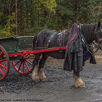 Buy canvas prints of The Coalman's Cart by mark james