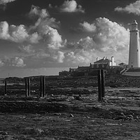 Buy canvas prints of St Mary's Lighthouse 2019 by mark james
