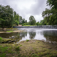 Buy canvas prints of Guyzance Weir on the River Coquet by mark james