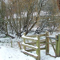Buy canvas prints of Winter Kissing Gate by Kate Small