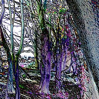 Buy canvas prints of Haunted woods by Kate Small