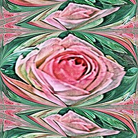 Buy canvas prints of Paper Rose by Kate Small