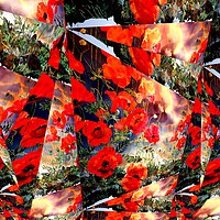 Buy canvas prints of Abstract Poppies in the Field by Kate Small