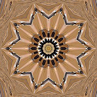 Buy canvas prints of Pattern in the wood by Kate Small