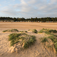 Buy canvas prints of Sand dunes and beach huts at Wells Next the Sea by Owen Vachell