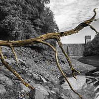 Buy canvas prints of Dry Derwent by Chris Horsnell
