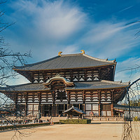 Buy canvas prints of Nara castle of japan by Yagya Parajuli