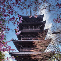 Buy canvas prints of Second Tallest pagoda of japan by Yagya Parajuli