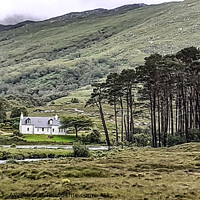 Buy canvas prints of Out Walking in the Highlands by Antony Atkinson